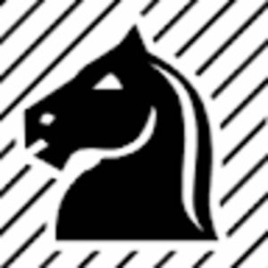 Meet your Posher, Ari